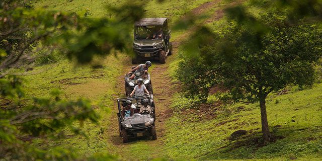 Bel ombre wilderness tour at bel ombre nature reserve (2)